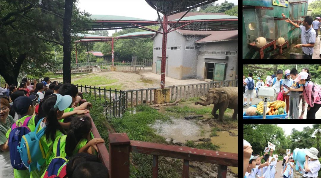 亏损的红山动物园,让游客积极认养,疯狂"报复"