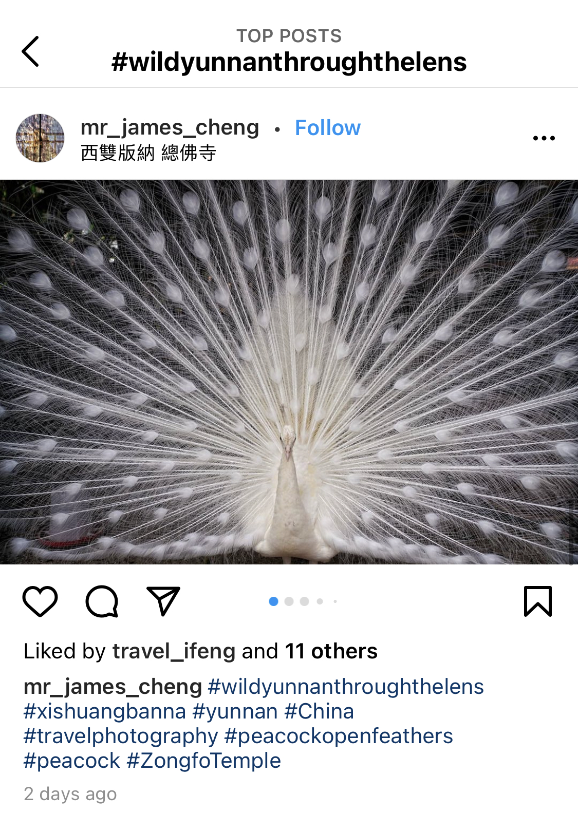 百名摄影师晒出精彩云南,网友直呼:太美了!