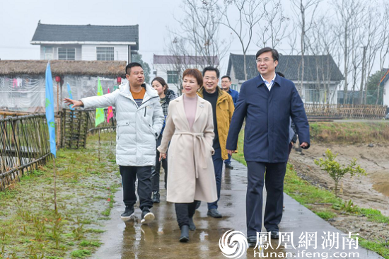 常德市委副书记、市长邹文辉（右一）考察白鳞洲村