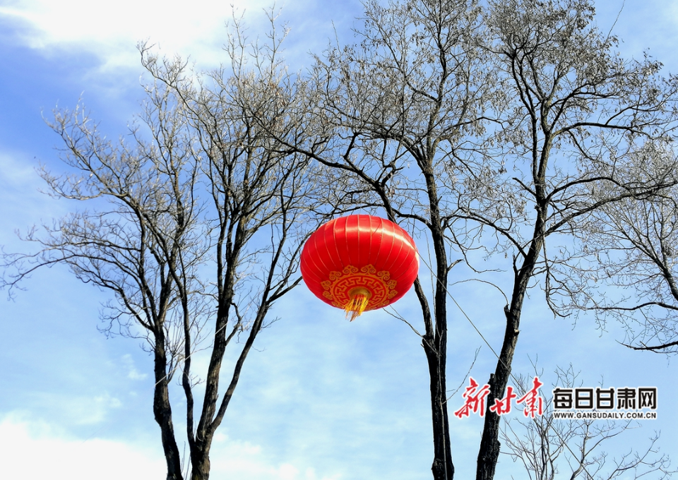 大红灯笼挂上树梢 金奉乾摄