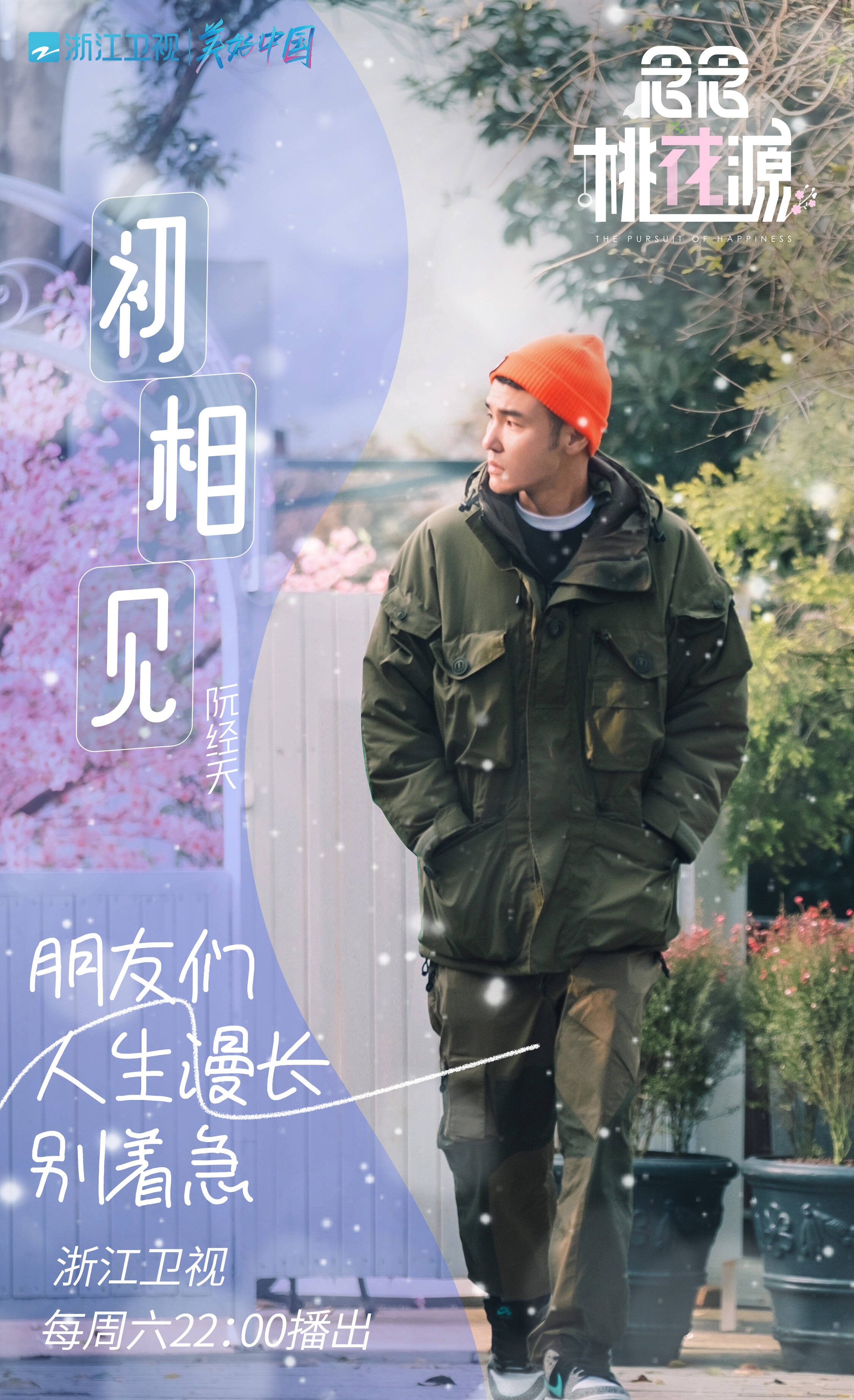 《念念桃花源》海报