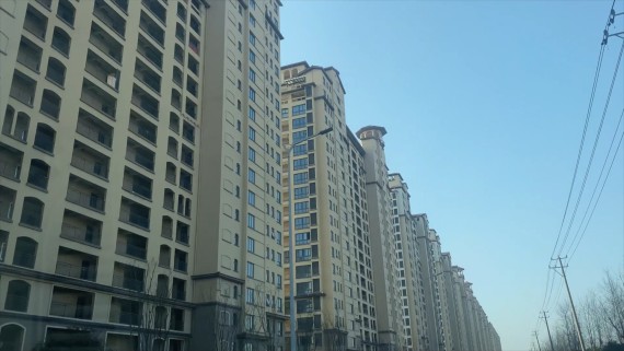 新华社记者调查长江口建空城（图）