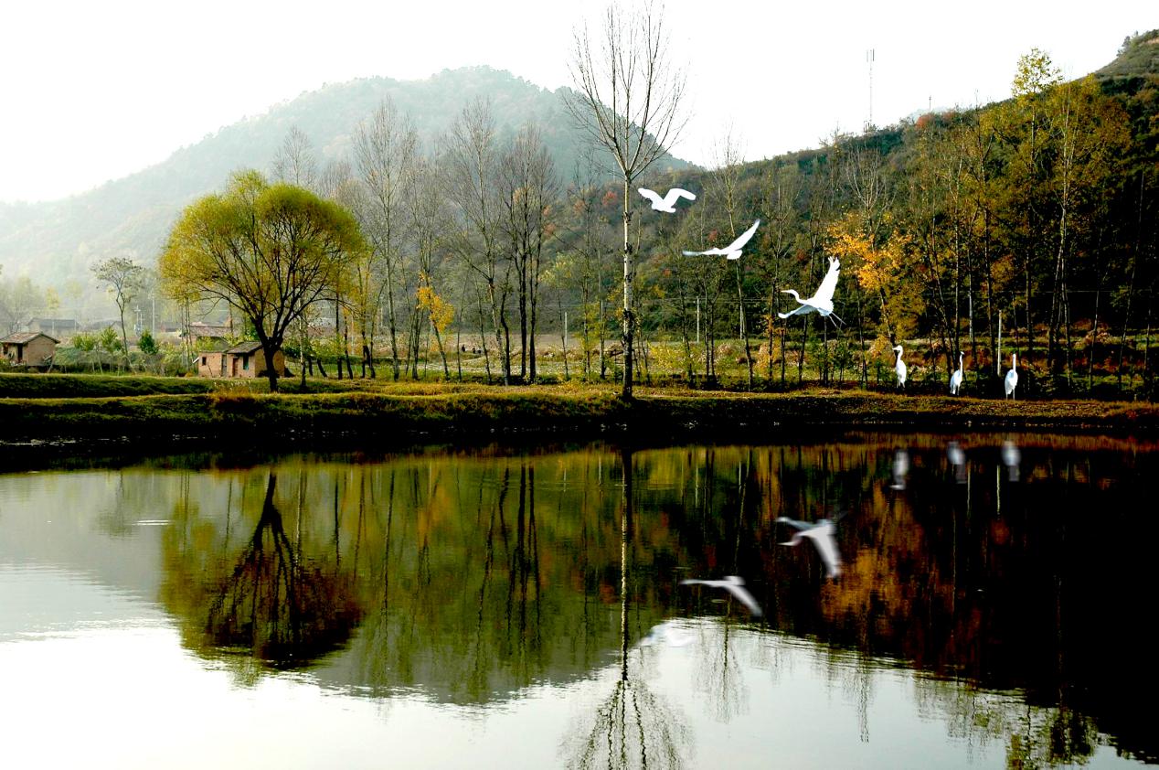 耀州区玉门湿地