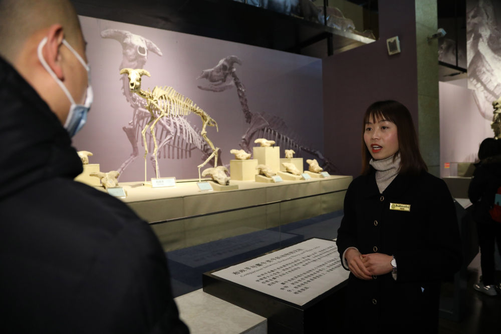 和政古动物化石博物馆讲解员张海莲为游客讲解 新华社记者 郭刚 摄