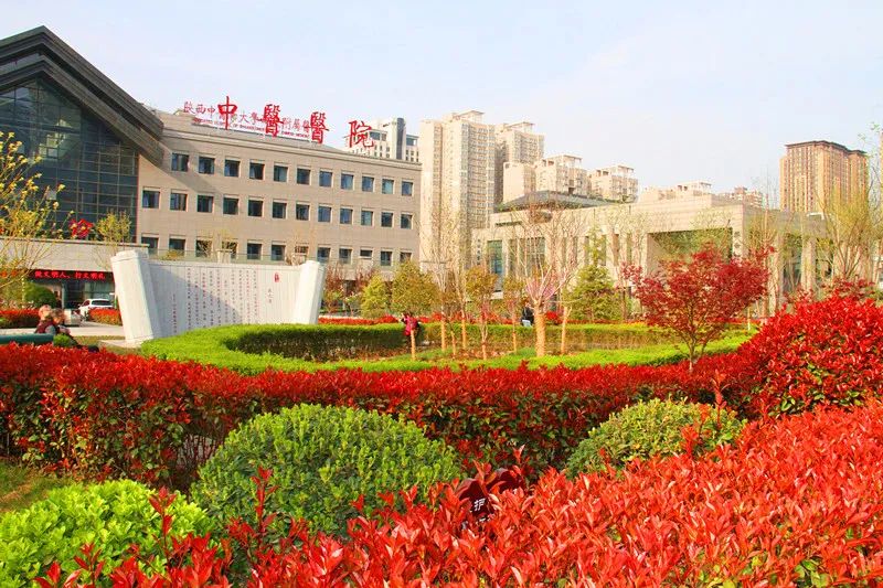 铭刻岁月 印证时代——西安市中医医院庚子年宣传工作大事记