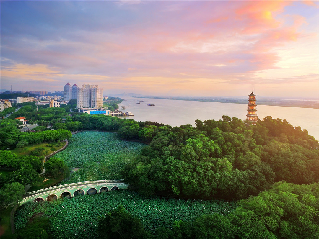 凤凰访谈丨高明区委常委荷城街道党工委书记麦兆雄立足活力荷城幸福