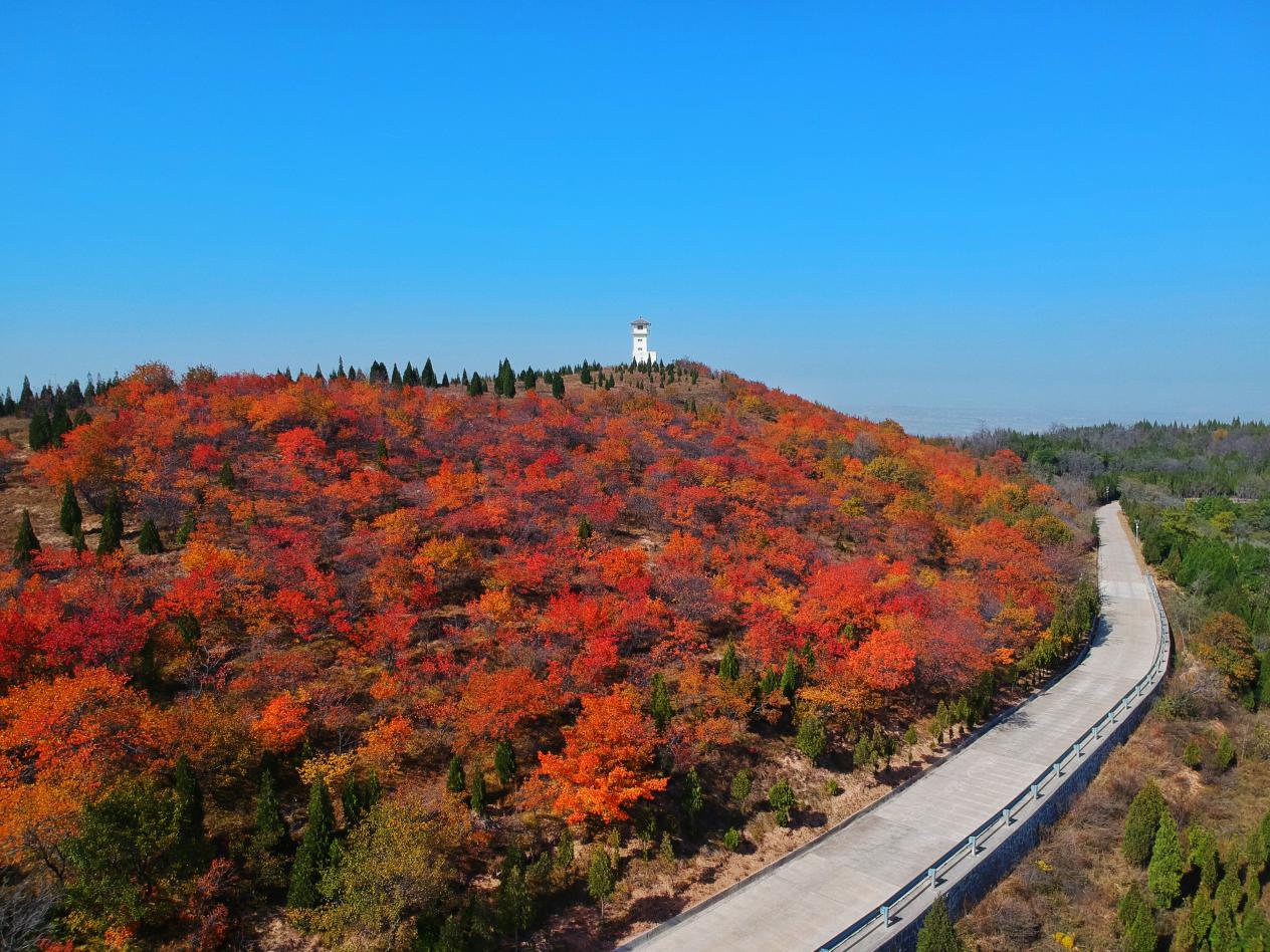 蒲城县尧山秋季风光