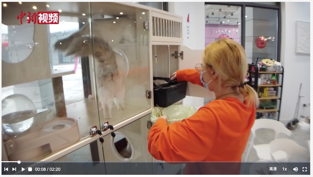 开异宠店的“95后”女孩：和它们像家人一样过春节