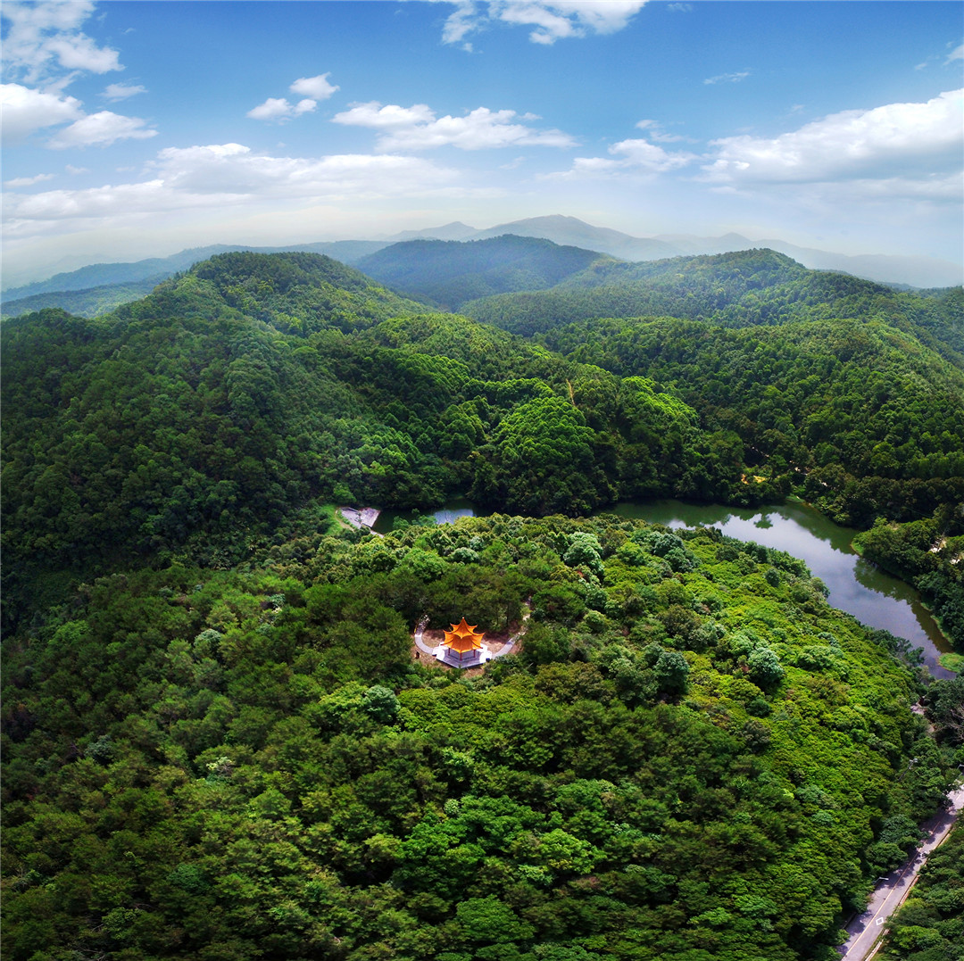 凤凰访谈:2021年是"十四五"规划的开局之年,今年高明经济发展提出了新