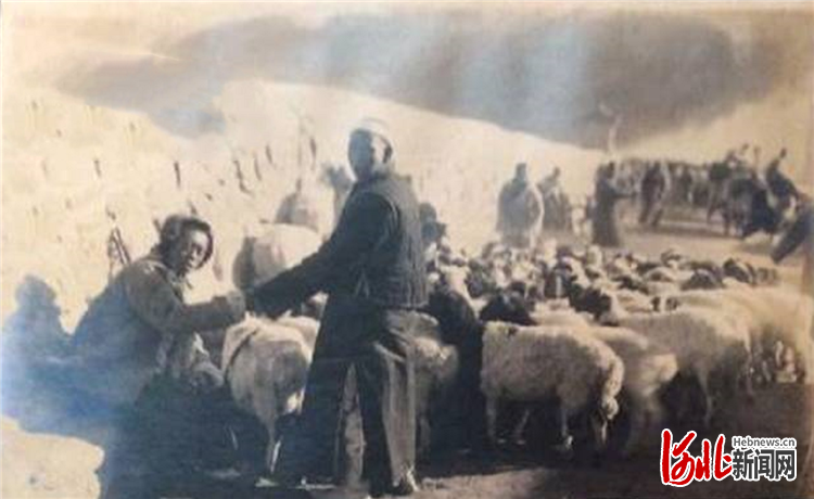 大境门外马市牙商通过“捅袖袖”暗语交易。张彦台供图