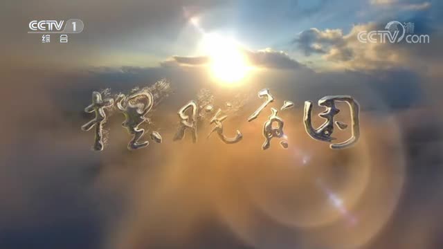 脱贫攻坚大型政论专题片摆脱贫困第二集精准施策