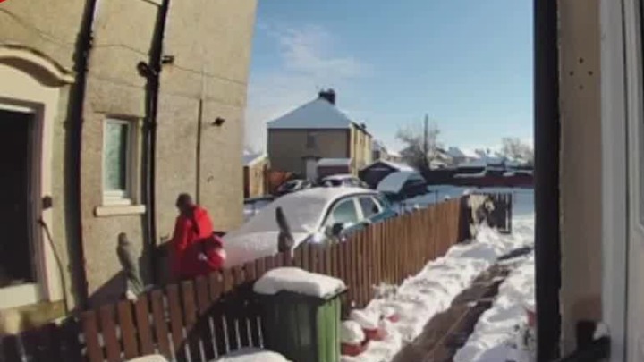 英国72岁老人摔倒躺在雪地里 邮递员拒绝帮忙扶起