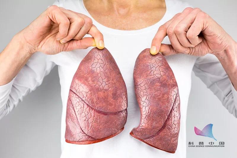 不是开玩笑这样打麻将会引起致命疾病现在知道还不晚