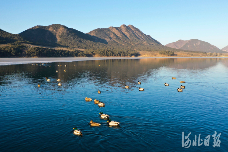 河北遵化：春到龙门湖