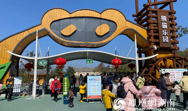 凤凰中华大熊猫苑内游客络绎不绝。
