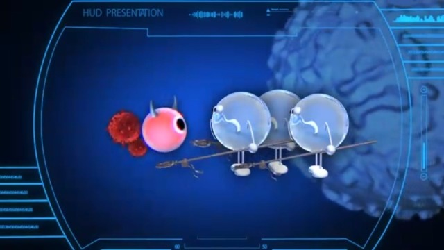 医学3D动画演示：T细胞与B细胞在人体免疫中的作用