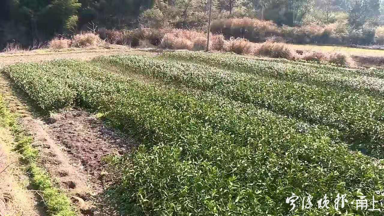 微信图片_20210221104930.jpg