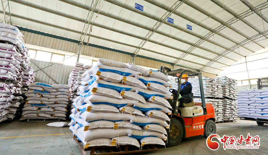 2月22日，甘肃张掖一饲料公司内工人们正在紧张有序地将加工好的饲料准备装车发运。