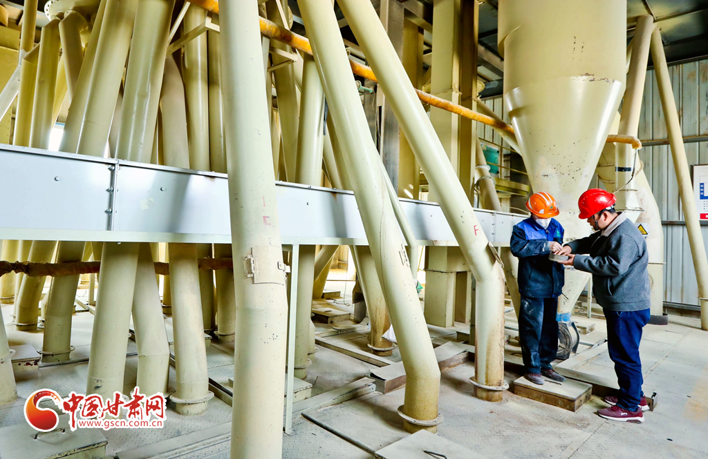 2月22日，甘肃张掖一饲料公司内工人们正在查看饲料加工情况。