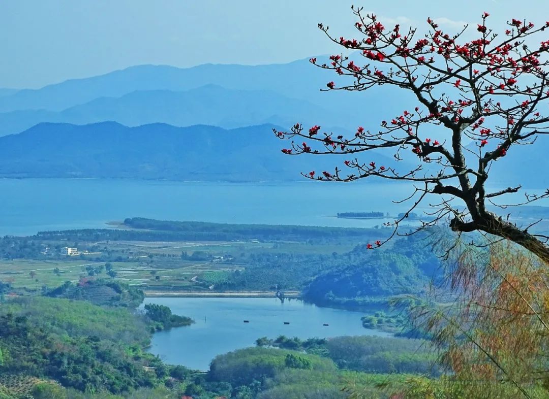 东方市俄贤岭下南浪村——树美石奇小桂林凤凰网海南_凤凰网