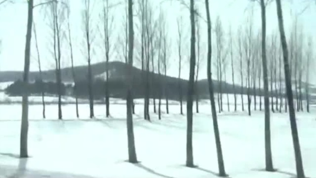 为帮助赵一曼逃跑，韩勇义当了自己母亲的金戒指