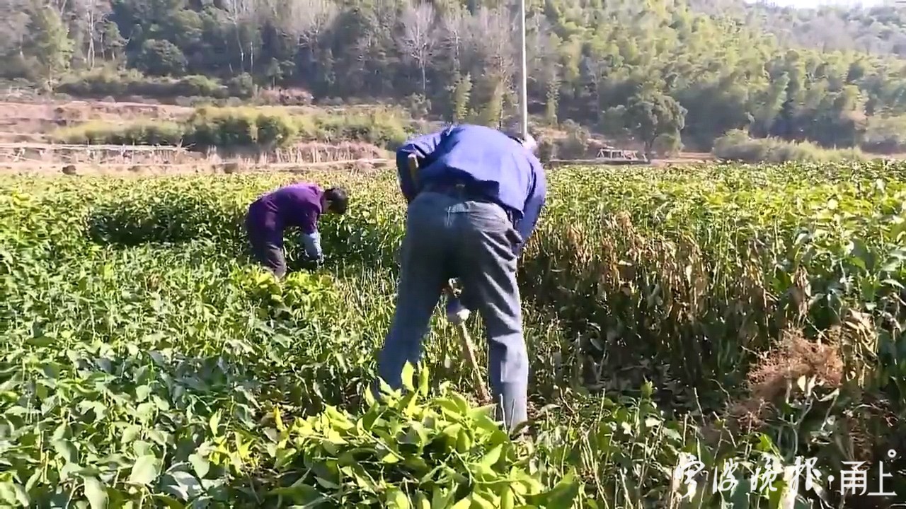 微信图片_20210221104514.jpg