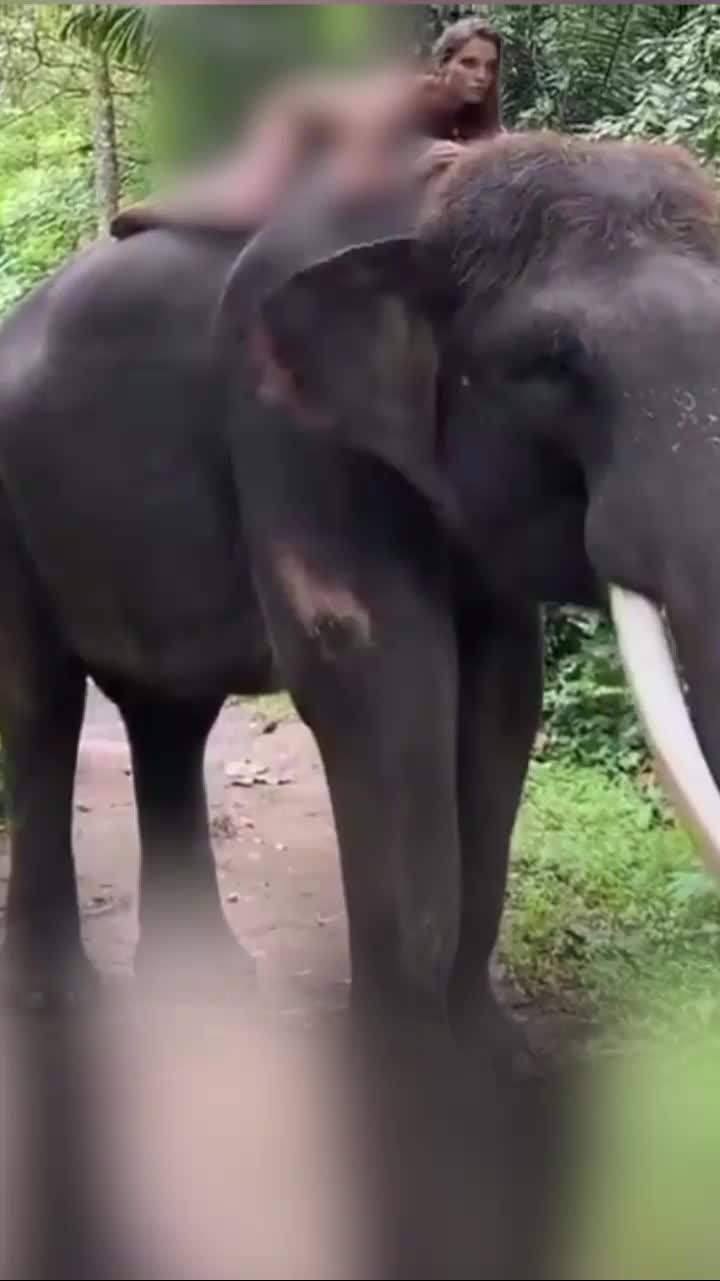 俄网球名将之女裸体骑濒危大象,引发外界争议后辩解道歉