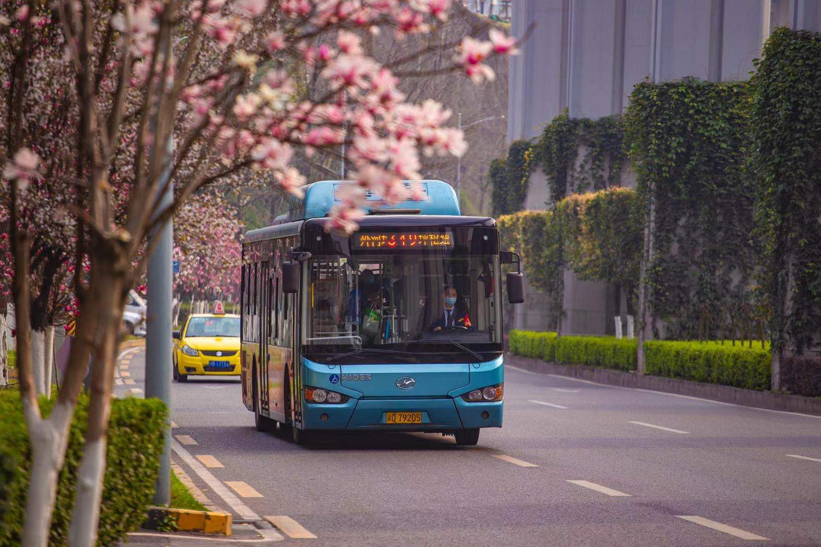 重庆交通开投集团全力做好中心城区桥隧错峰通行公共交通运输保障