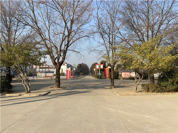 亳州谯城区城父镇美颜村庄为乡村振兴赋能提气