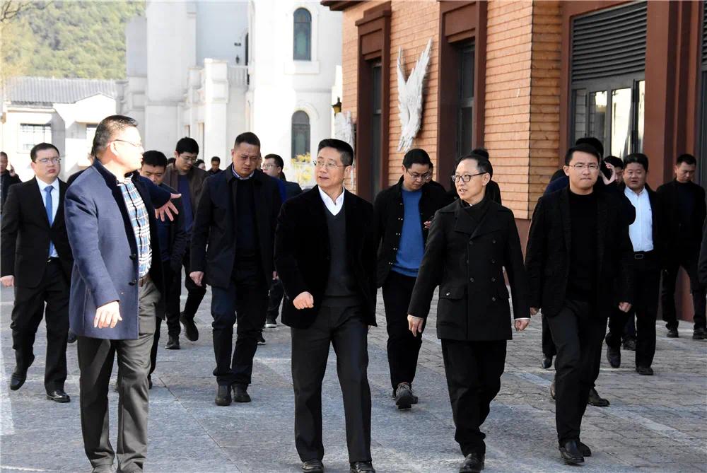 新年如何实现新发展新春伊始武义县四套班子主要领导齐至温泉小镇调研