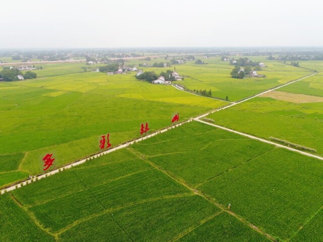 湖南划出耕地保护红线：耕地保有量不少于5956万亩;永久基本农田面积不低于4945万亩。(湖南日报记者 徐行 摄)