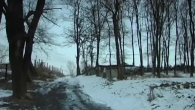 1931年逃至关内的韩家麟，为何再次返回沦陷的东北？