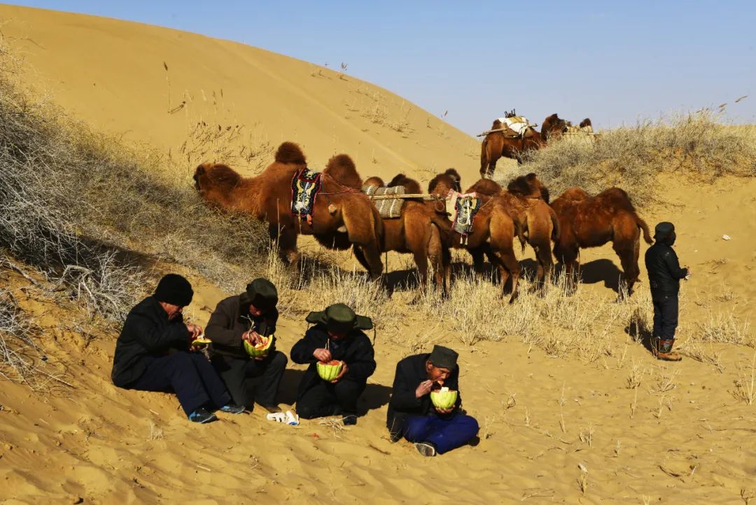 ▲ 吃腰食：驼队行走时间较长，骆驼客要选择合适的地段，休整一下，吃些腰食。图为民勤骆驼客在途中吃腰食休整。2017年10月21日李军拍摄于巴丹吉林沙漠