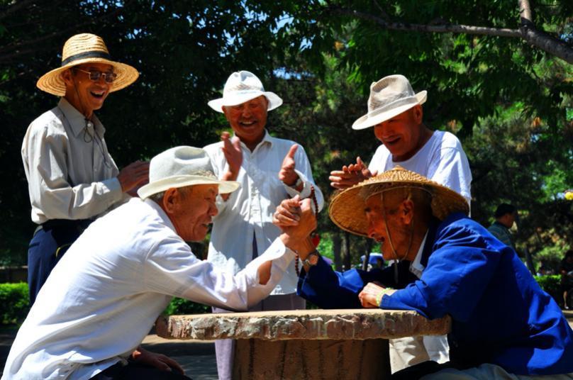 资料图片 。杨红摄