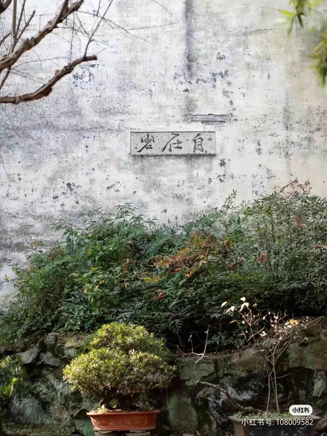 鹿人口_人口普查