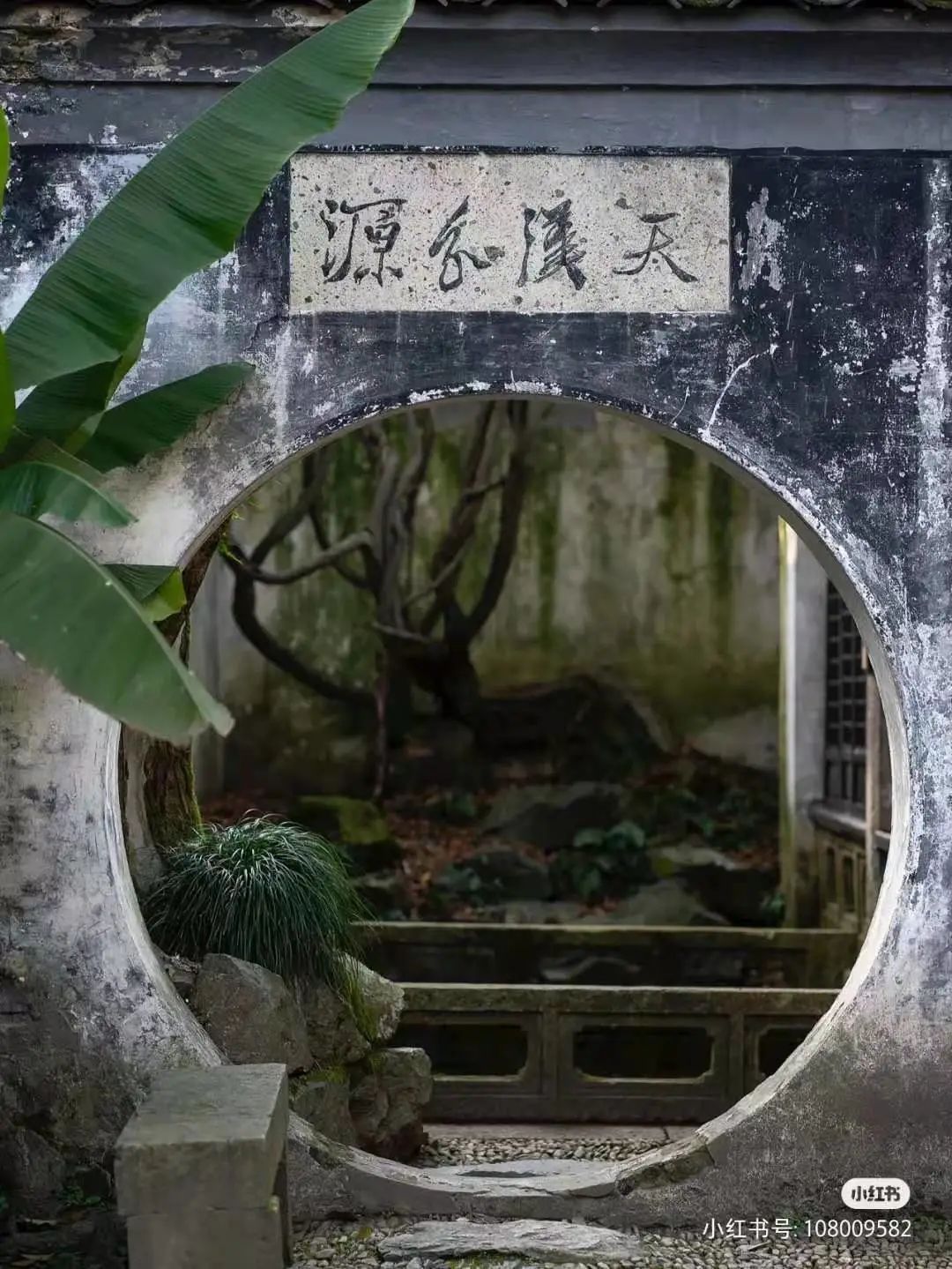 鹿人口_人口普查