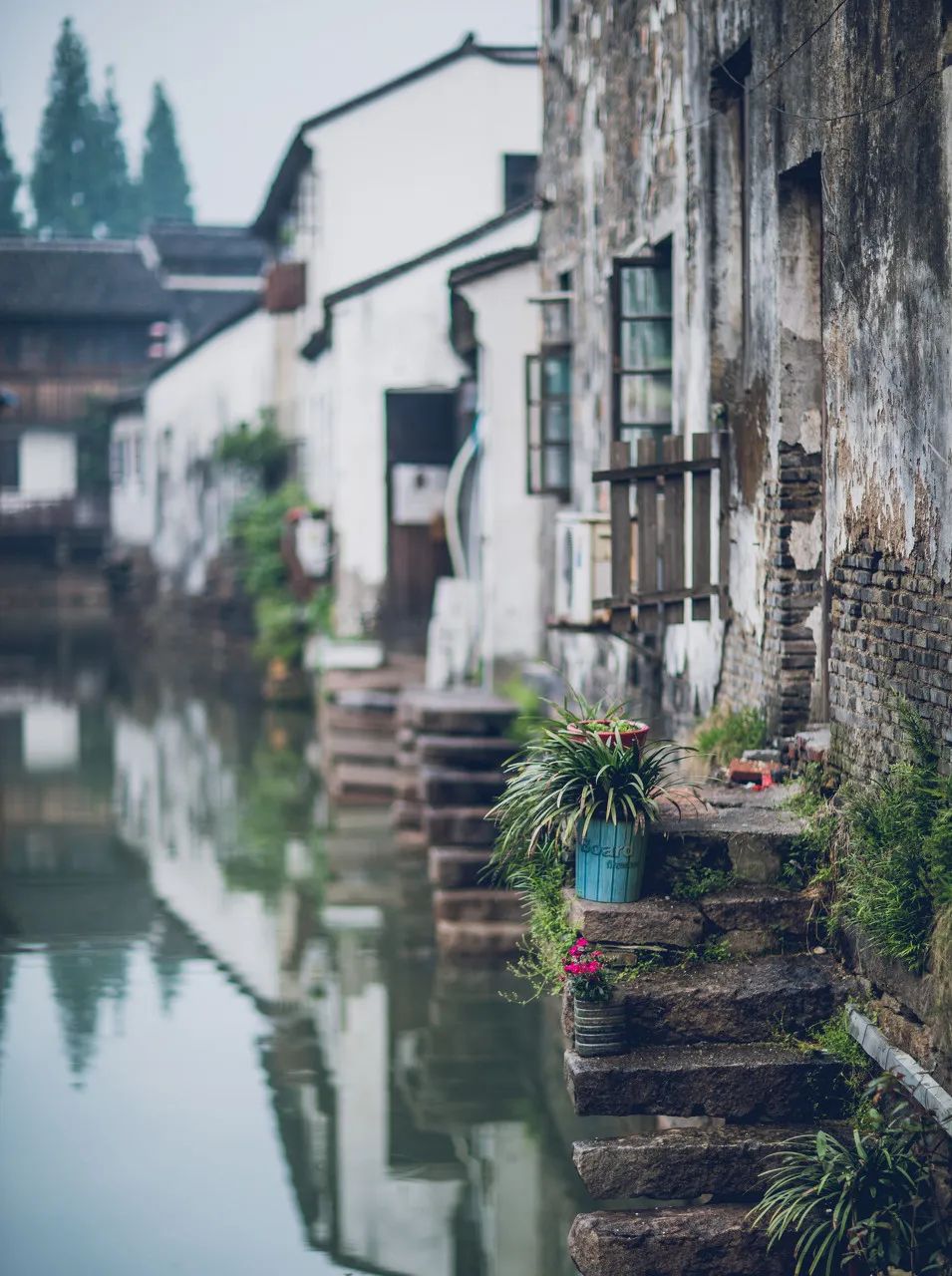 倦了，就去苏州小住几日