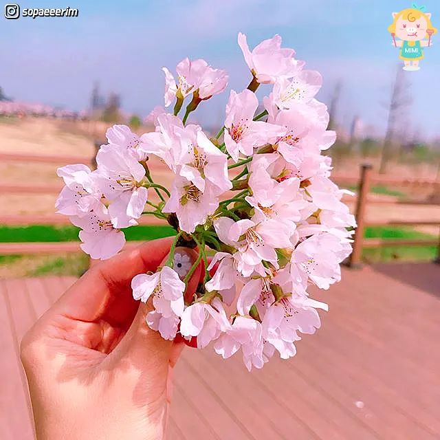 （图片来自ins）