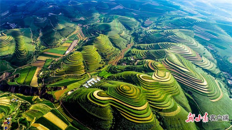 环县樱桃掌村梯田示范点 新甘肃&middot;甘肃日报通讯员 李芳义