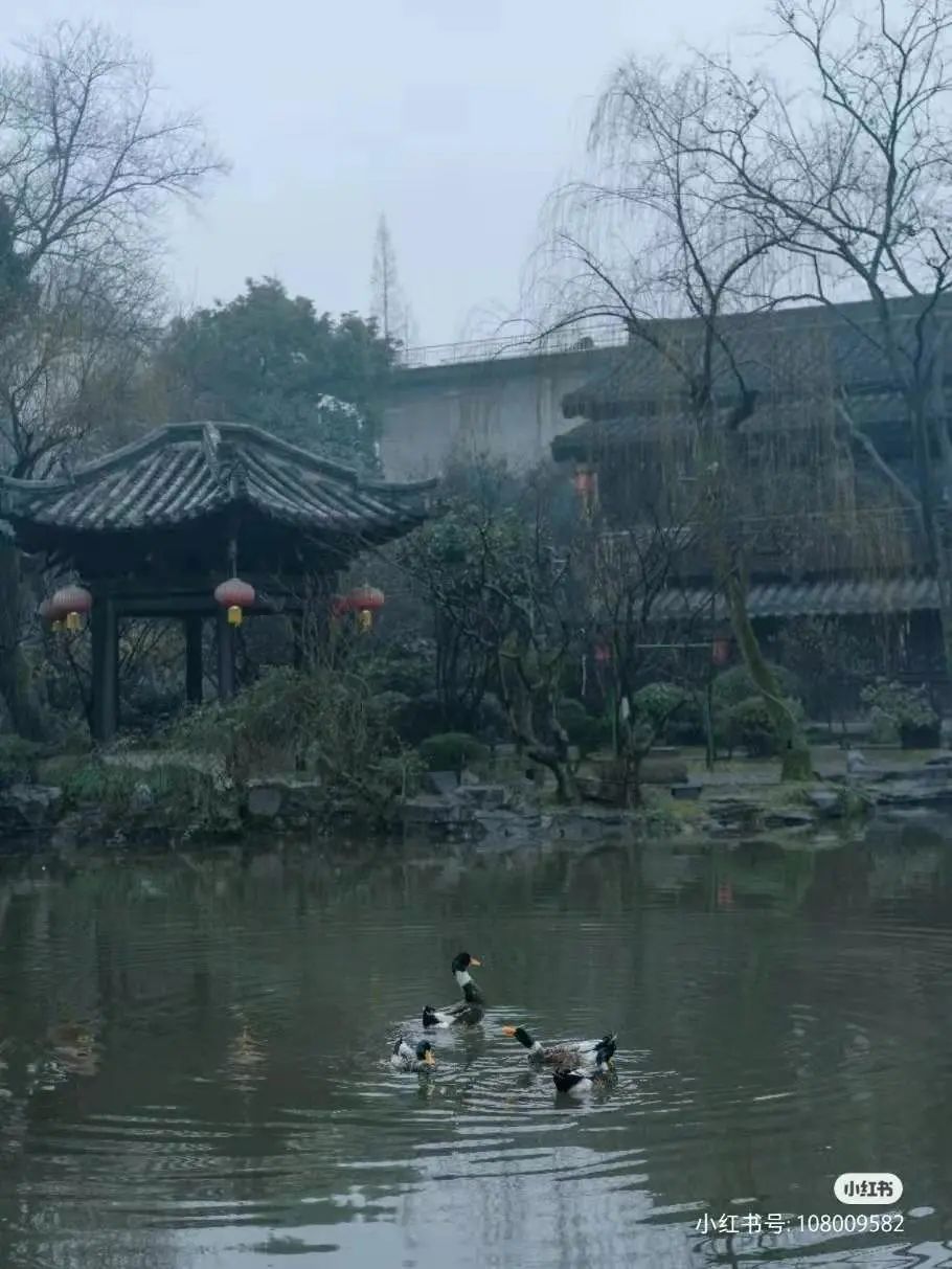 鹿人口_人口普查