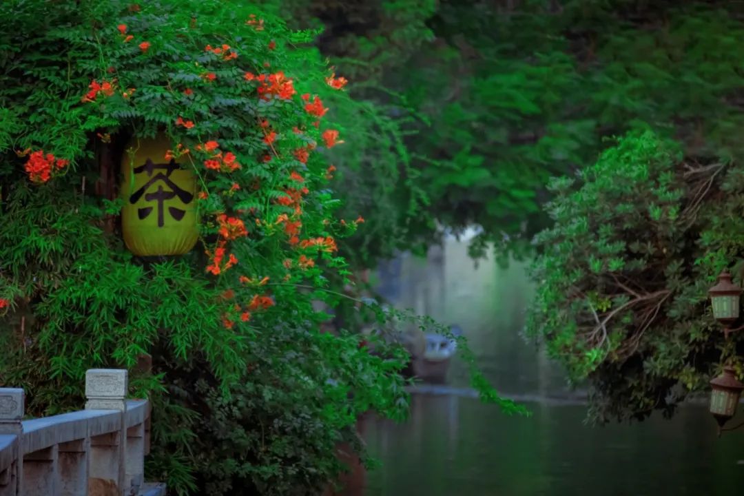 倦了，就去苏州小住几日