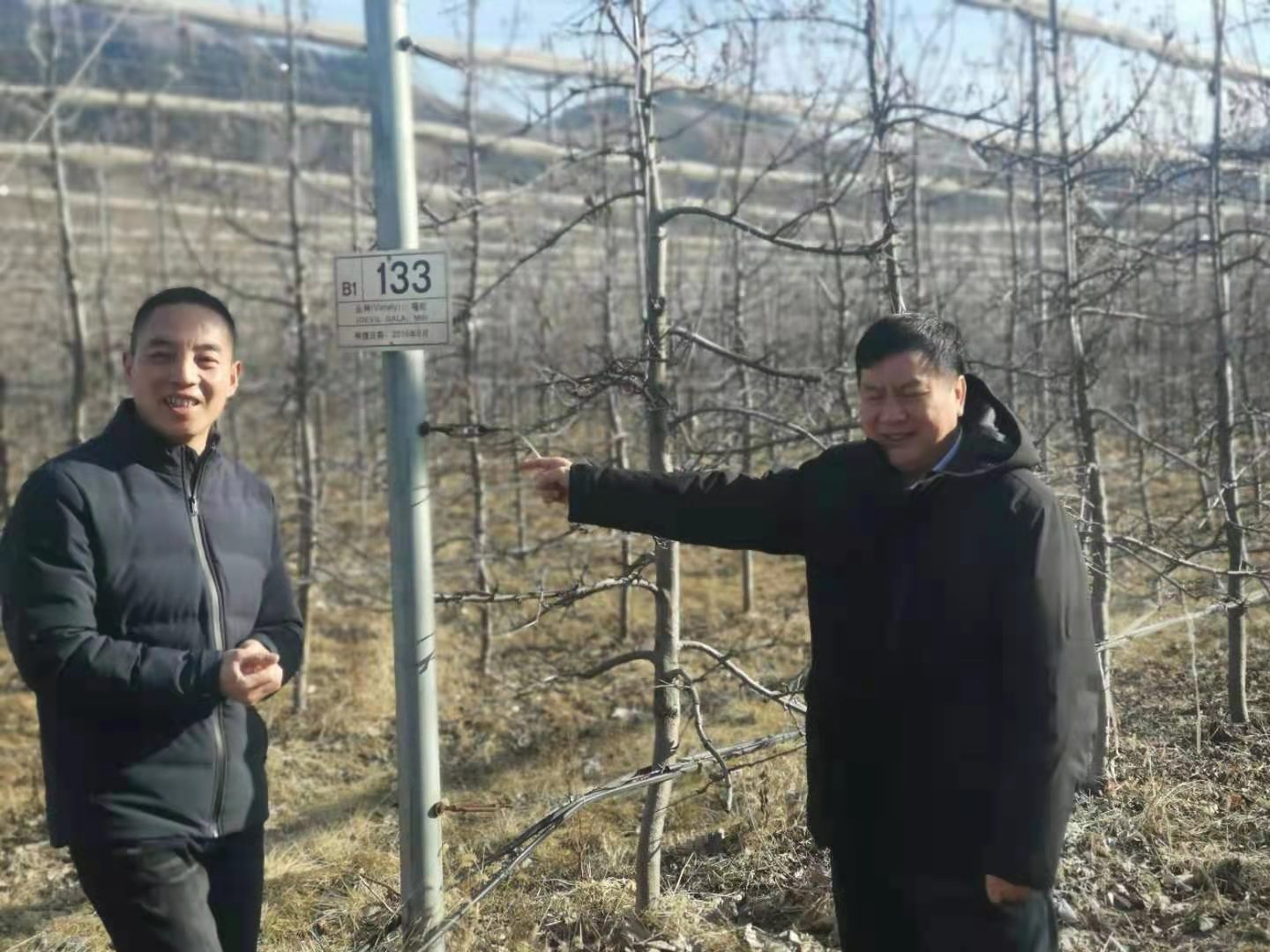 “数字”帮你种好田！沂源将建有全国首个生态无人智慧果园