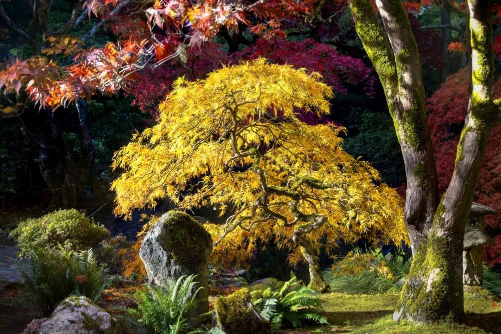 ©The Butchart Gardens