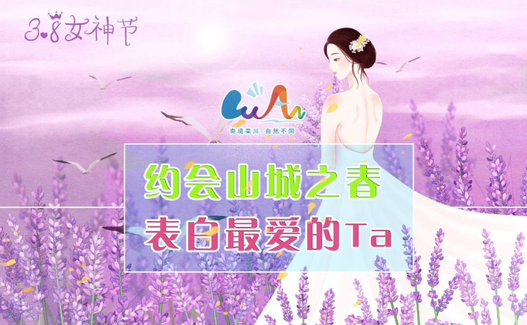 3 8节超级福利 栾川十大景区免 半价门票 拍抖音赢大奖等 凤凰网