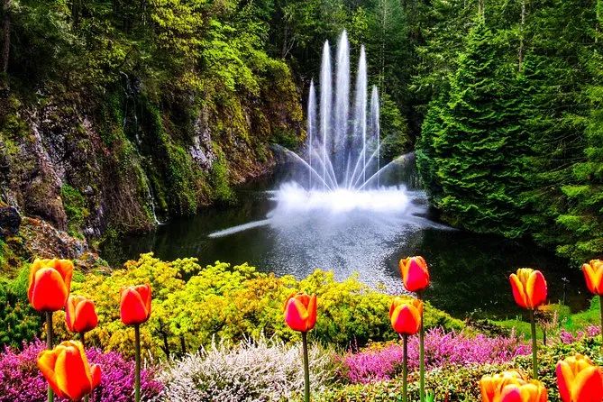 Source: Viator.com