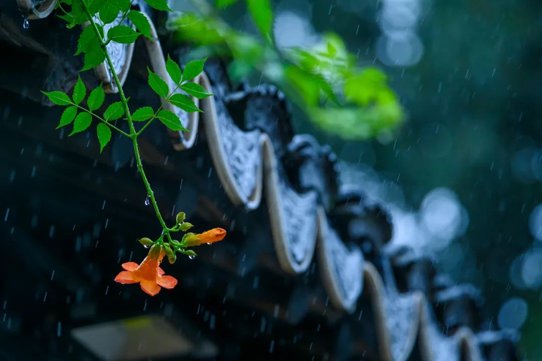 倦了，就去苏州小住几日