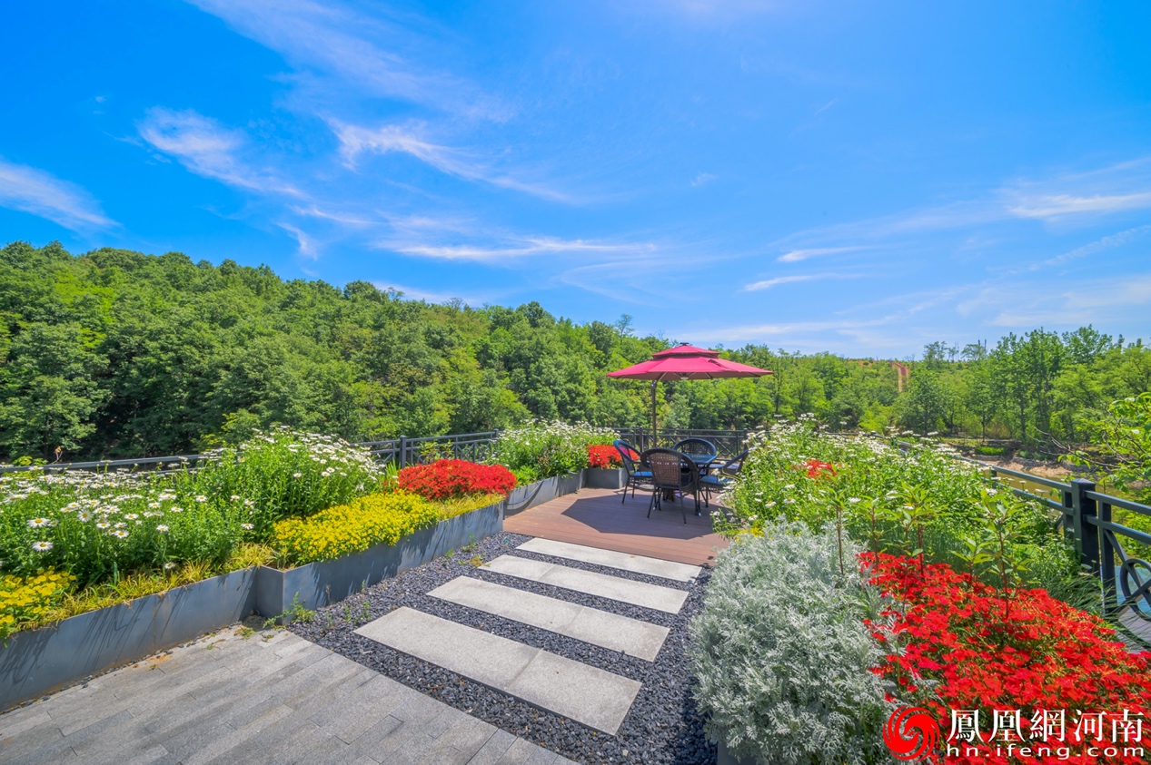 洛阳网红团到伊川建业绿色基地沟域生态经济示范带打卡采风