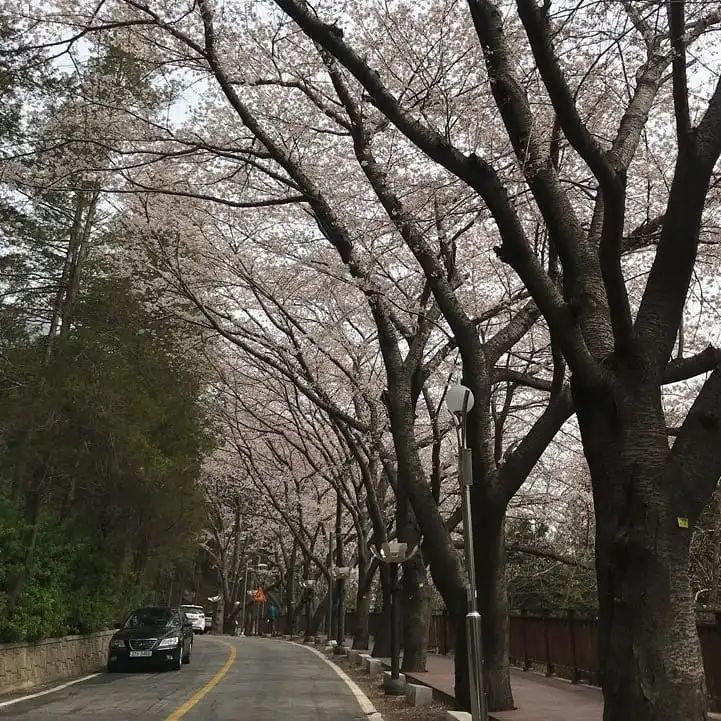 （图片来自ins）