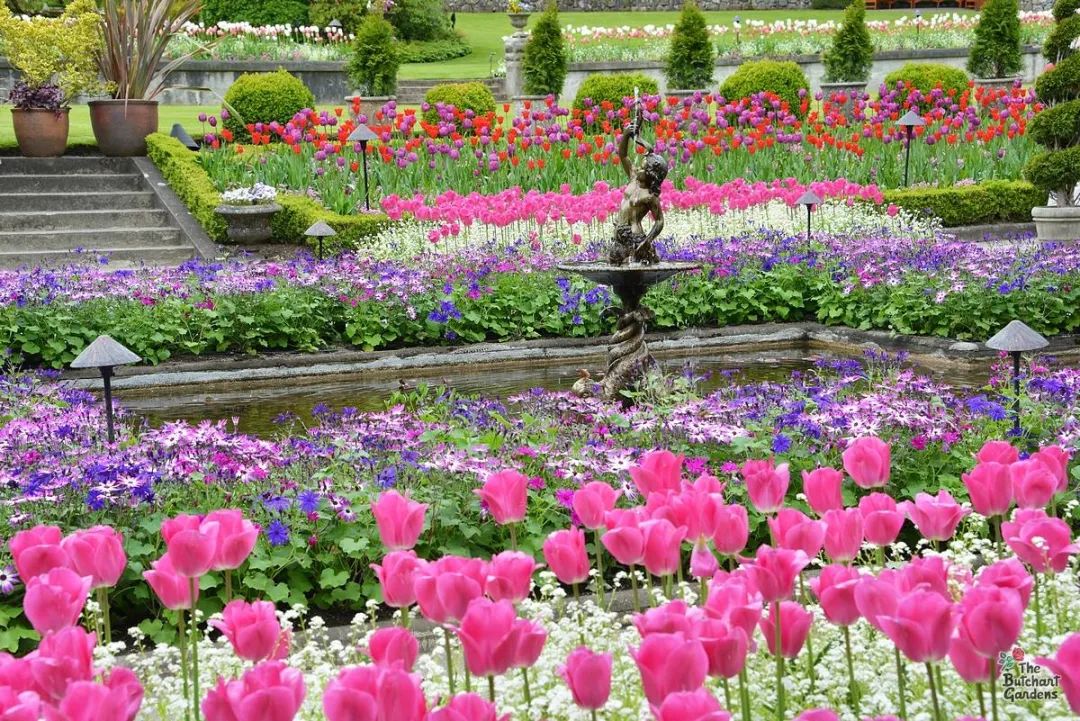 ©The Butchart Gardens