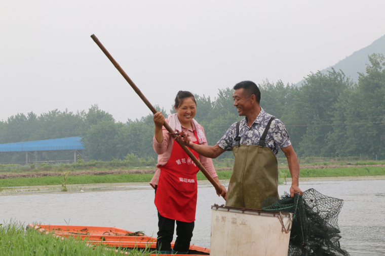 唐传云、施祥龙夫妇承包100多亩田种植水稻，试水稻虾共养